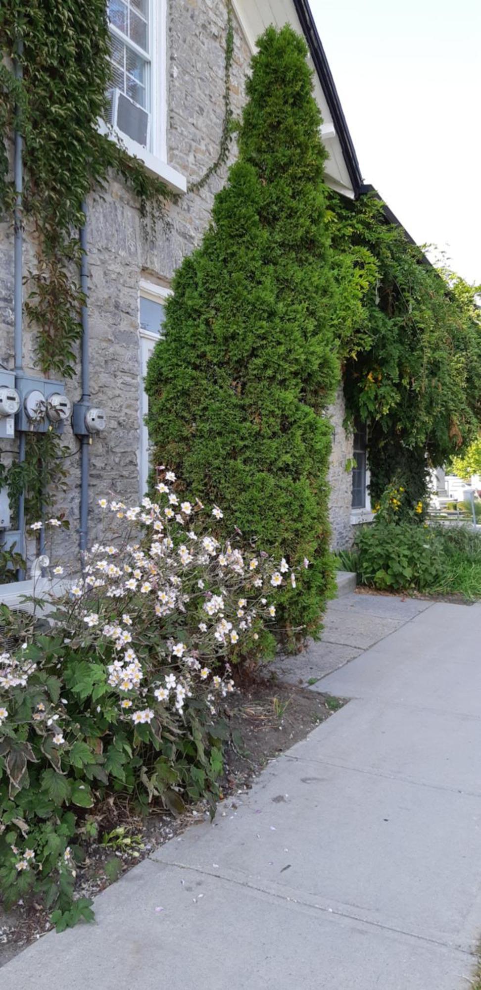 Stone Carriage House Villa Picton Buitenkant foto