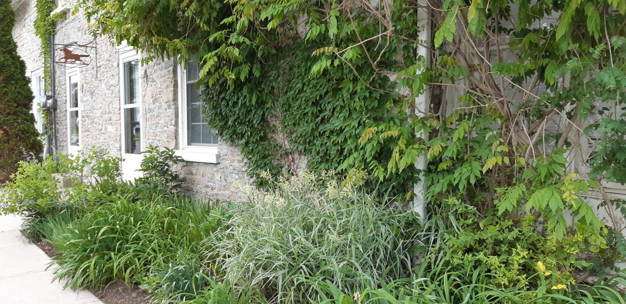 Stone Carriage House Villa Picton Buitenkant foto